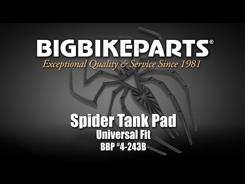 Décoration araignée