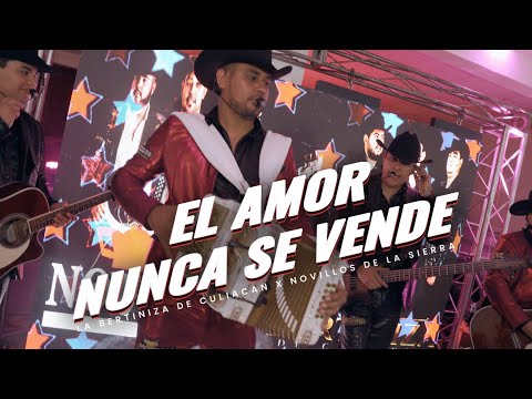 La Bertiniza De Culiacan x Novillos De La Sierra - El Amor Nunca Se Vende (En Vivo)