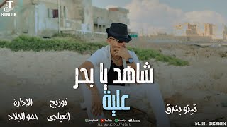 كلمات اغنية شاهد يا بحر علية تيتو بندق