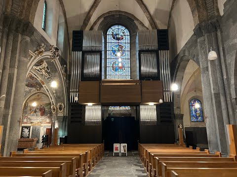 Andreas Jetter an der Kuhn-Orgel der Kathedrale Chur - Max Reger Choralphantasie Opus 52 Nr. 3