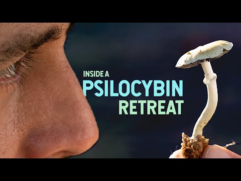 Inside a MAGIC MUSHROOM Retreat: A Special Inside Look From Start to Finish