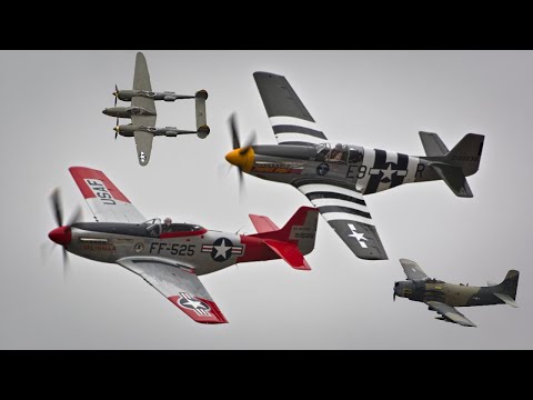 Warbird Flyby Compilation (P-51D Mustang, B-25 Mitchell, A-1 Skyraider, P-38 Lightning, and more!)