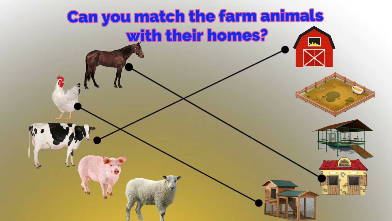 Farm animals/Farm animals and their houses/matching of Farm animals with their homes