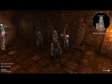 Baldur's Gate 3 - Elfsong Tavern Basement