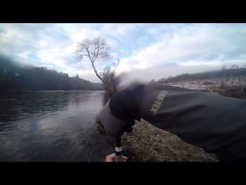 2lb 4oz grayling on the river tweed