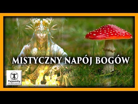 download lagu mp3 mp4 Napój Bogów, download lagu Napój Bogów gratis, unduh video klip Download Napój Bogów Mp3 dan Mp4 Full Gratis