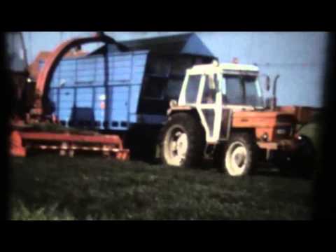 Loonw Persyn-Steelandt- Elverdinge