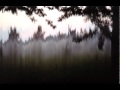 Nicola Arigliano - Nebbia