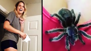 videos de risa  mujeres vs insectos