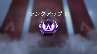 apexを6000時間プレイした人の配信