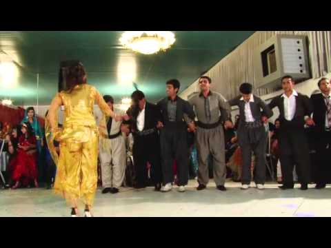 Nice kurdish dance