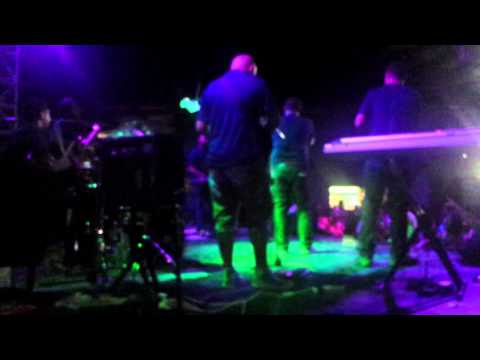 Metere Crew Live Mox Ambe