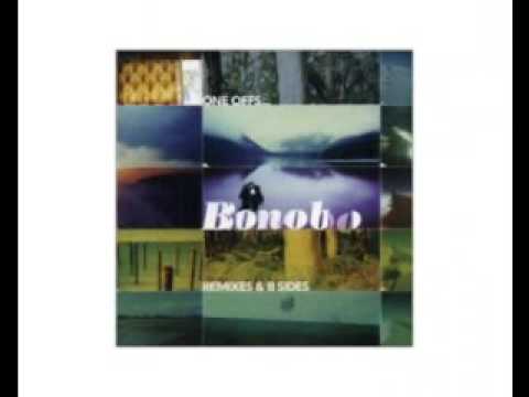 Bonobo - The Plug (Quantic Mix)