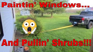 Paint Your Vinyl House Windows!