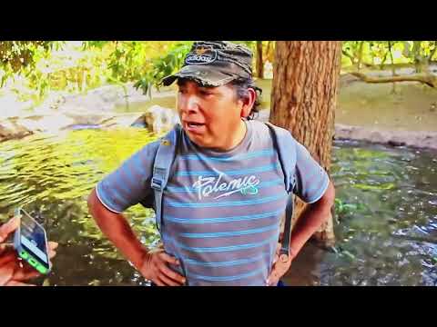 Regadio ancestral en el Oasis de Pica, Tarapaca