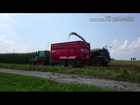 Mais 2014 Lohnunternehmen Burghartswieser