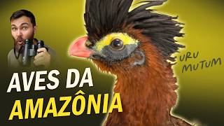 Miniatura do vídeo