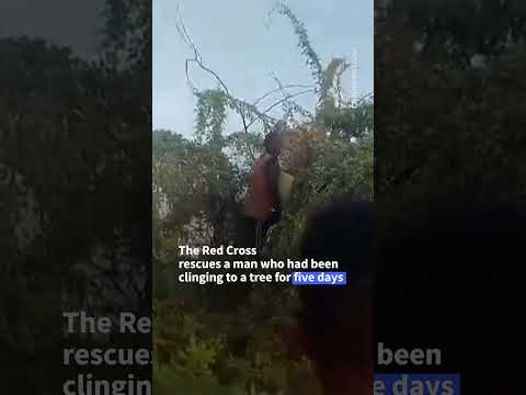 Man rescued after five days in tree in flood-hit Kenya | AFP #shorts