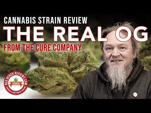 The Real OG Strain Review – The Cure Company