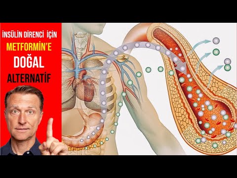 Şeker Hastalığı Olanlar İçin Kür Prof. Dr. Saraçoğlu