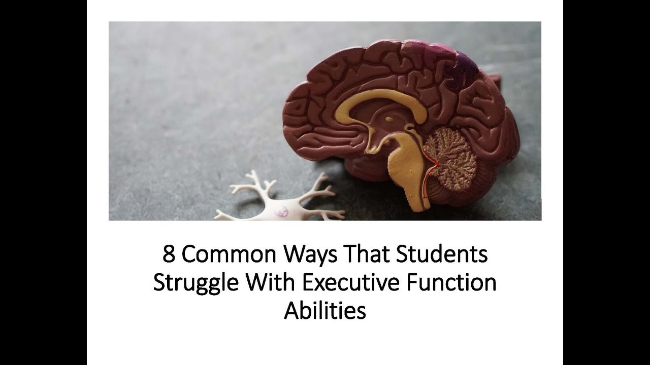 Executive Function Abilities: 8 Common Ways Students Struggle