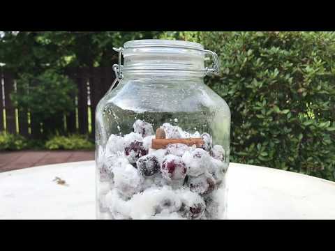 download lagu mp3 mp4 German Cherry Liqueur, download lagu German Cherry Liqueur gratis, unduh video klip German Cherry Liqueur