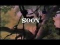The Clan Book Trailer