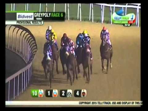 Bold Inspiration - 7th win - Racing Association