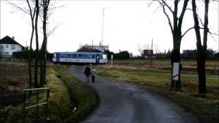 preview picture of video 'Motorový vůz 810 v Sedlici'