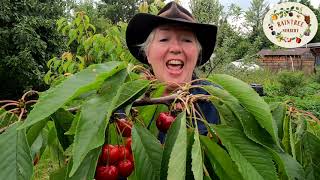 Raintree Nursery