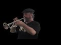 NOT The Canadian Brass: Live at Carnegie Hall