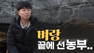 귀농 4년차 방울토마토 농사 수익공개