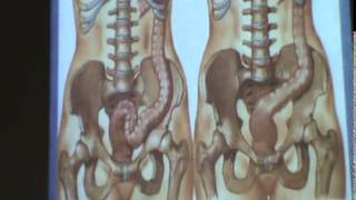 10) Dr.medhat 1-3-2015