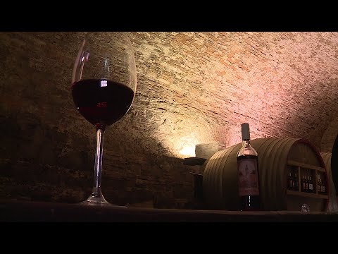 Egy Heted - 2022.11.24. - Csütörtök - SopronTV