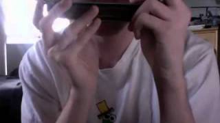 the go! team - ready to go steady [harmonica]