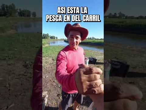 Asi esta la pesca en el arroyo saladillo