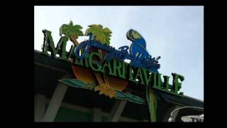 preview picture of video 'Universal Studios and Sea World Orlando Vacation'