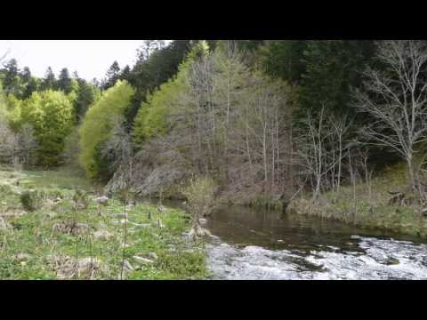 download lagu mp3 mp4 Peche A La Mouche En Ardeche, download lagu Peche A La Mouche En Ardeche gratis, unduh video klip Peche A La Mouche En Ardeche