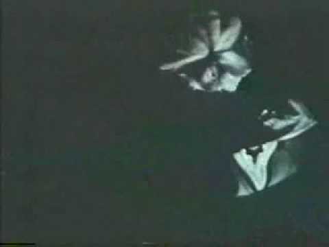 Psy Phy 6 - Gecko Echo