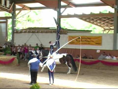 Süddeutsche Meisterschaft Voltigieren 2010