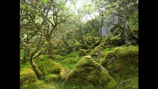 5. Gartan Mother&#39;s Lullaby- Celtic Spirit🍀