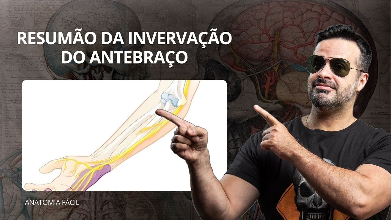 Resumão da invervação do antebraço - #anatomiafacil