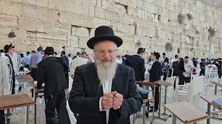 מכל העולם באים לירושלים בחג הסוכות | הרב שמואל אליהו | הלכה יומית | י"ד תשרי תשפ"ה (הרב שמואל אליהו) - התמונה מוצגת ישירות מתוך אתר האינטרנט יוטיוב. זכויות היוצרים בתמונה שייכות ליוצרה. קישור קרדיט למקור התוכן נמצא בתוך דף הסרטון