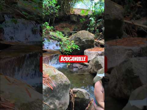 ✨🌿Finca Bouganville🌿✨ Un lugar para escapar de la rutina,😎 #SanAntonioDeTequendama  #Cundinamarca