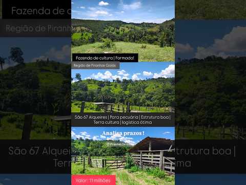 67 Alqueires em Piranhas GO, terra para pecuária / whatsapp 62 99373-6407