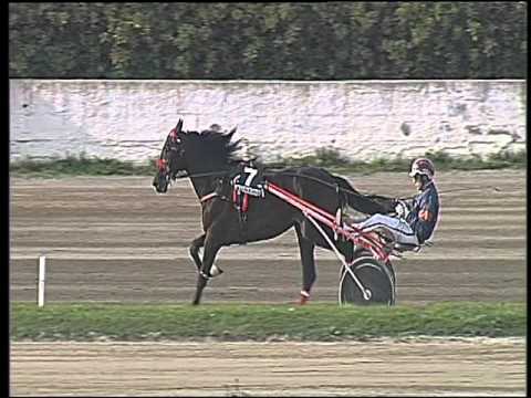 Trotto 03/04/2016 - 6° Corsa