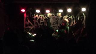 GRAVELAND - Born for War - Noc Besov X