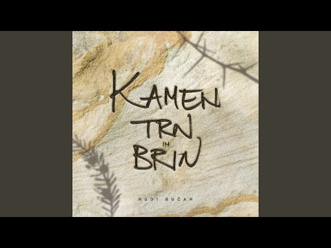 Kamen, trn in brin