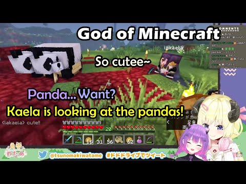 Watame and Towa Watching Hololive Minecraft God Kaela Astonished Seeing Pandas They Bring To Server