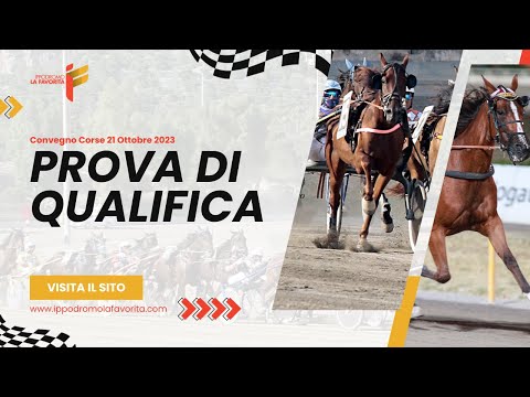 Prova di Qualifica del 21 Ottobre 2023 - 2 Anni - Metri 1600